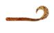 Silicone worm FOX 12cm Crawler #005 (caramel) (edible, 6 pcs) 6481 фото 2