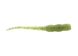 Silicone slug for micro jig Reins Aji Meat 1.8" #804 UV Moebi (edible, 15 pcs) 8871 фото 2