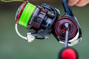 Daiwa Ballistic MQ LT: Наука далекого закиду в карбоновому корпусі фото