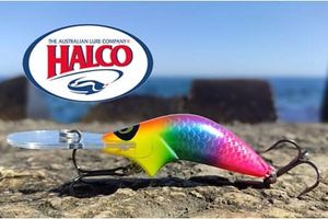 HALCO: “heavy” deep-sea wobblers for catching catfish