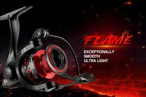 Piscifun Flame - much more advanced feel than other reels for the price