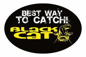 BLACK CAT | The best way to catch! | Die beste art zu fangen! фото