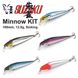 Набір воблерів FOX SUZAKU Minnow Kit 10cm (5 шт приманок + коробка) FOXAUZAKU100 фото 1